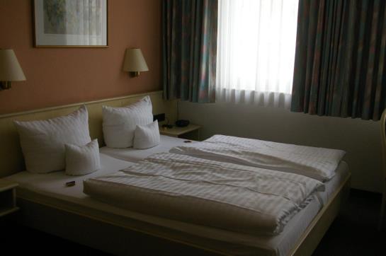 Hotel Zum Treuen Bartel 4