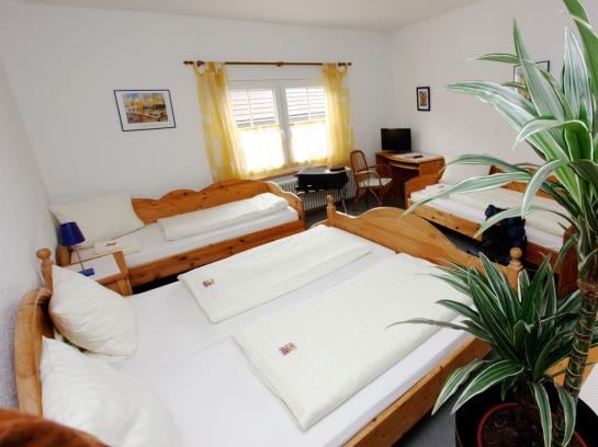 Pension Gasthaus Rebstock 3