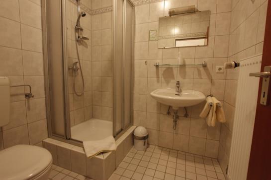 Pension Gasthaus Rebstock 8