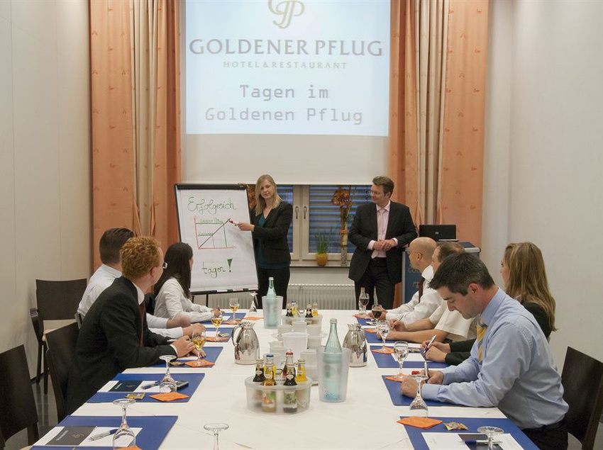 Hotel Goldener Pflug 2