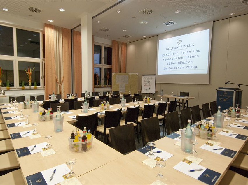Hotel Goldener Pflug 7