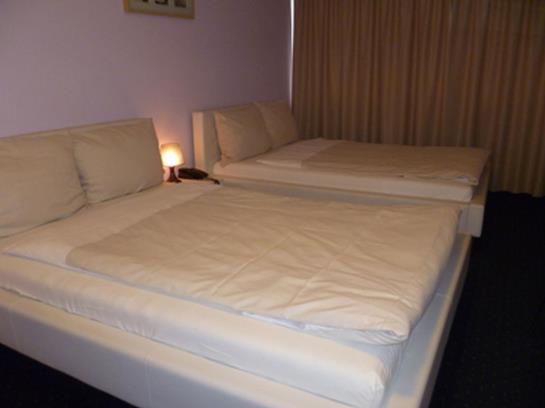 Parkhotel David Lorrach 12