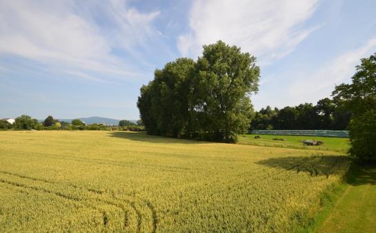 Hotel Sulzbacher Hof 1