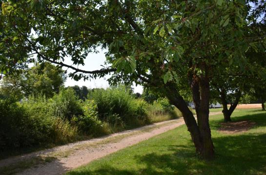 Hotel Sulzbacher Hof 10