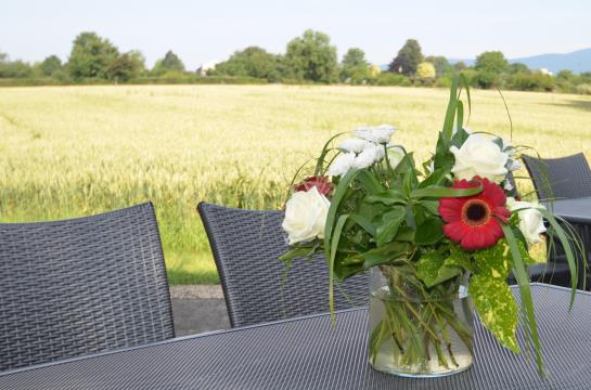 Hotel Sulzbacher Hof 20