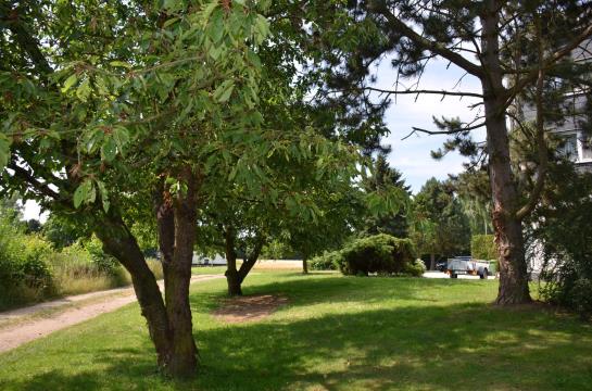 Hotel Sulzbacher Hof 9