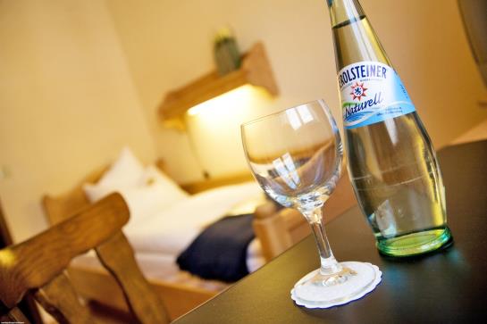 Pension Brauerei-gasthof Goldener Löwe 1