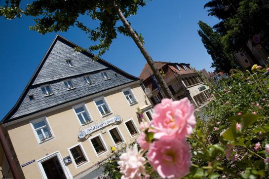 Pension Brauerei-gasthof Goldener Löwe 11