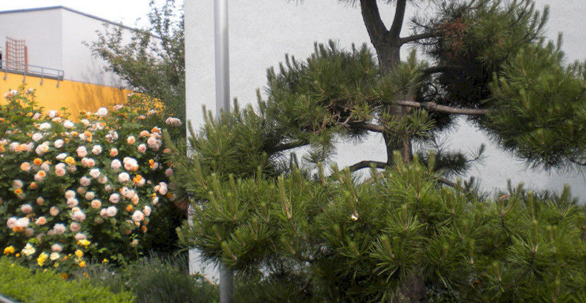 Hotel Lindleinsmühle Wurzburgo