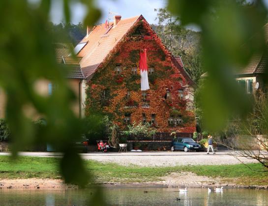 Pension Gasthof Schiff 1