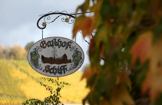 Pension Gasthof Schiff 6