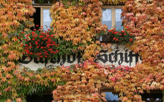 Pension Gasthof Schiff 7