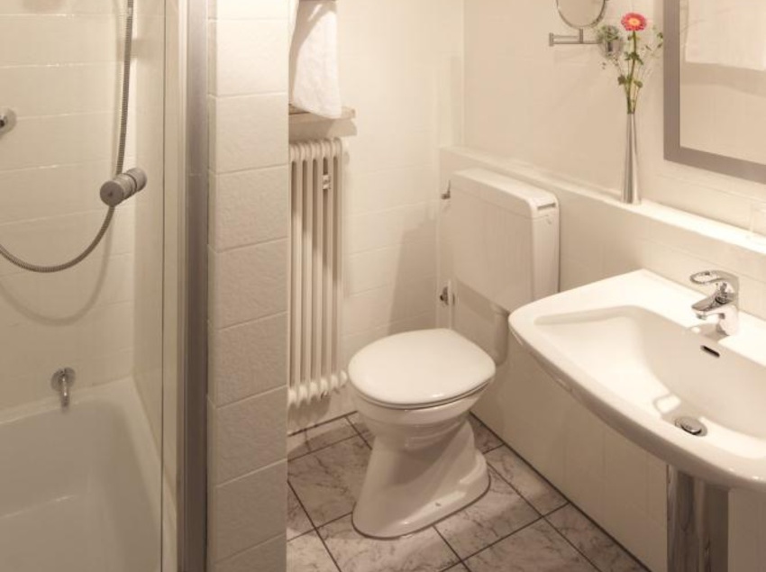 Pension Hotel Gasthof zum Hirsch 10