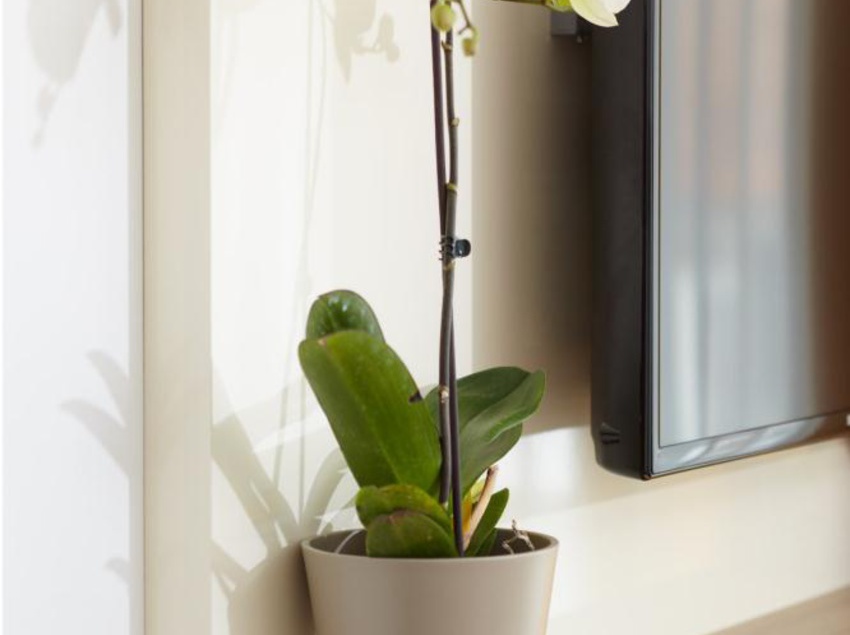 Pension Hotel Gasthof zum Hirsch 11