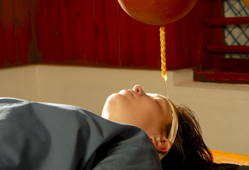 Hotel The Elephant Court 13