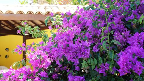 Hotel Pousada Costa Smeralda  | Guarajuba | Bahia | Brasil 2