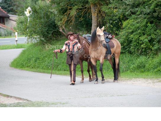 Pension Landgasthof Feihl 12