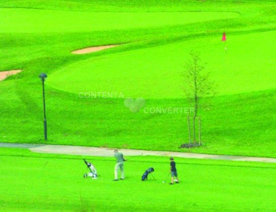 Pension Landgasthof Feihl 2