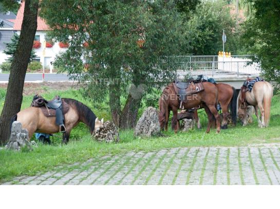 Pension Landgasthof Feihl 20