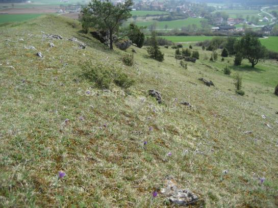 Pension Landgasthof Feihl 6