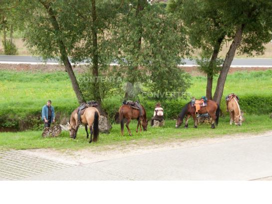 Pension Landgasthof Feihl 8