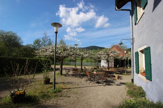 Pension Landgasthof Zum Rössle 12