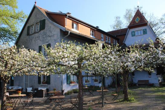 Pension Landgasthof Zum Rössle 5
