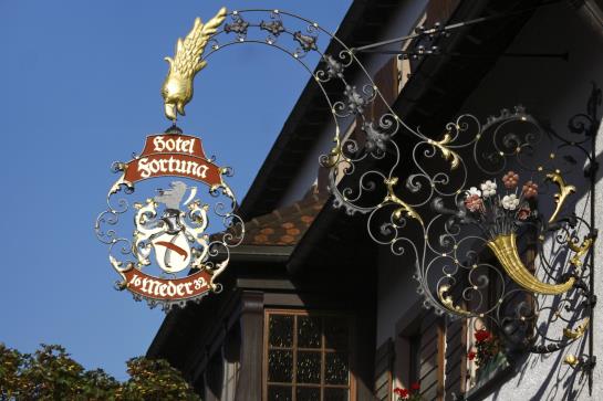Hotel Fortuna 17
