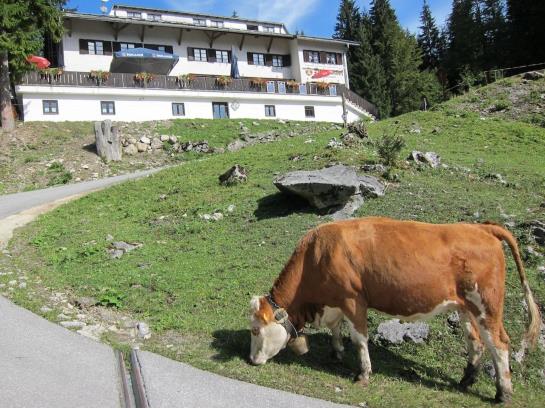 Pensión Berggasthof Am Roßkopf 2