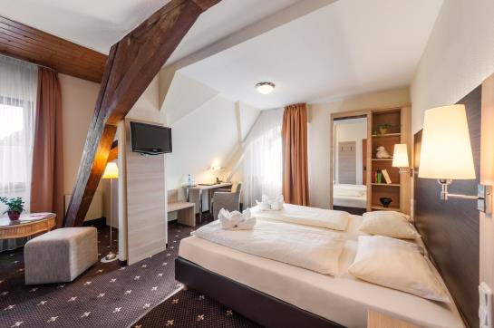 Hotel Hessischer Hof 2