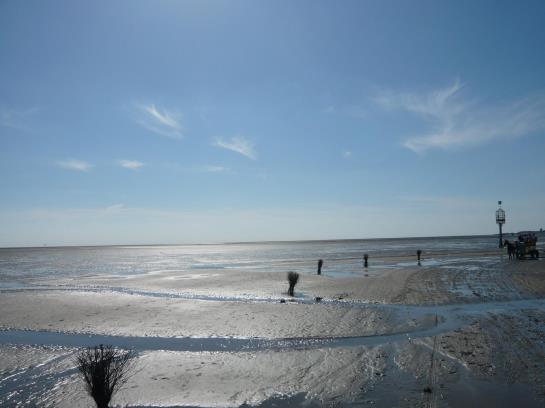 Hotel Haus Thorwarth-garni 10