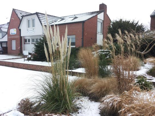 Hotel Haus Thorwarth-garni 12