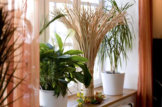 Hotel Vila Belaggio 13