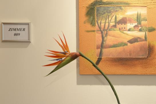 Hotel Vila Belaggio 2