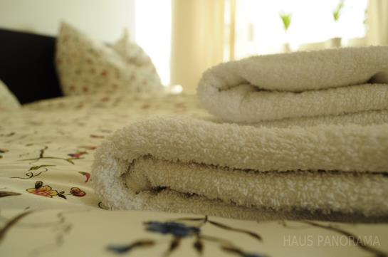 Hotel Haus Panorama 4