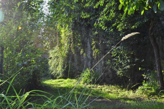 Hotel Haus Panorama 7