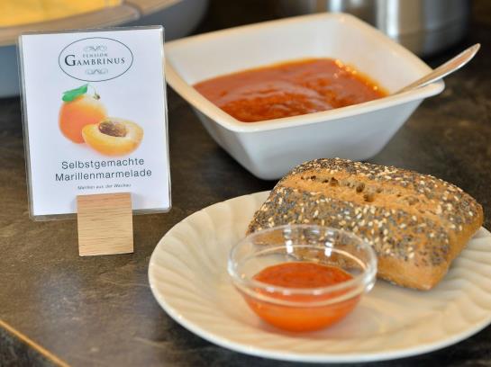 Bed & Breakfast Pension Gambrinus 9