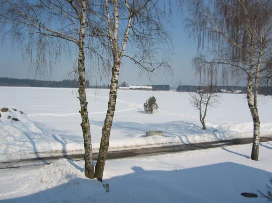 Hôtel Bernhardhof 4