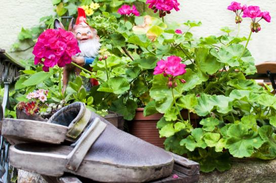 Hotel Bayerischer Löwe 1