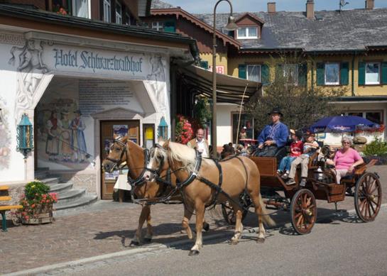 Hotel Schwarzwaldhof 14