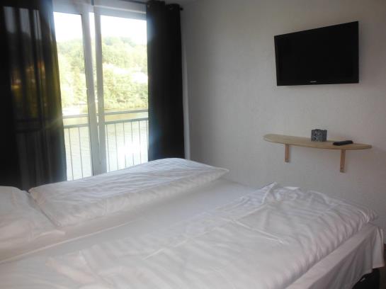 Hotel Roter Kater Graue Katze 2