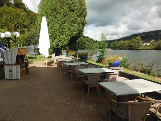 Hotel Roter Kater Graue Katze 4