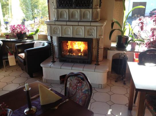 Hotel Roter Kater Graue Katze 6