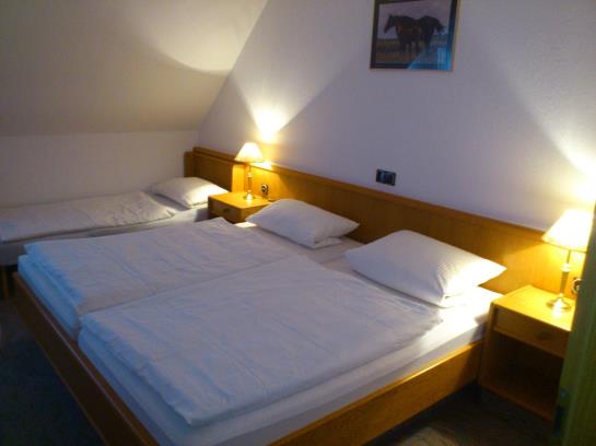 Hotel Hof Von Oldenburg 19