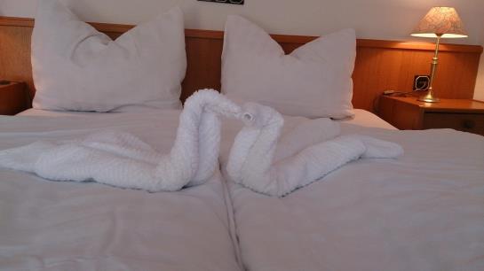 Hotel Hof Von Oldenburg 9