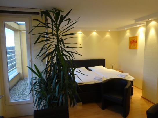 Forsthaus Appartements 1