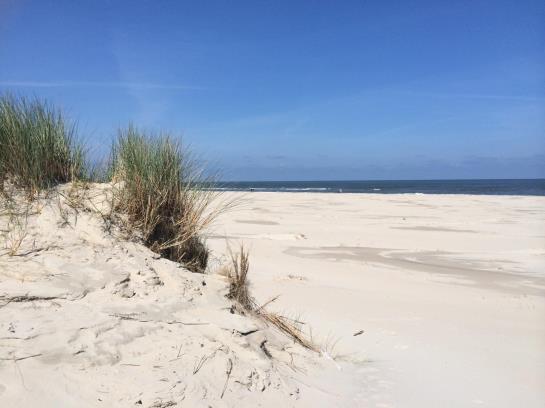 Hotel Vier Jahreszeiten Strand 2