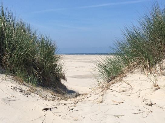 Hotel Vier Jahreszeiten Strand 4