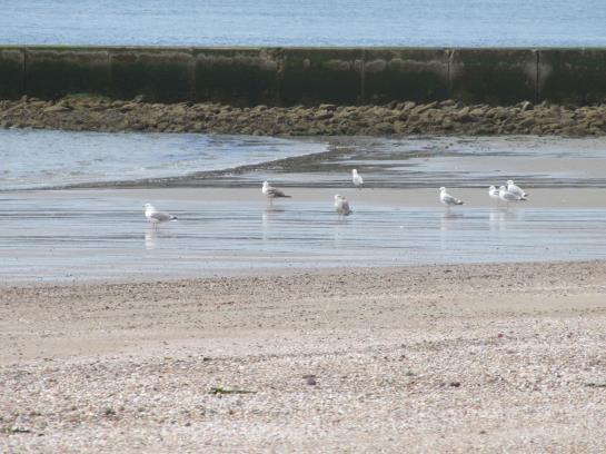 Hotel Vier Jahreszeiten Strand 9