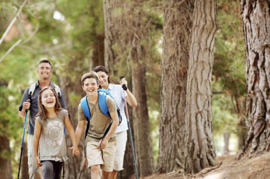 Hôtel Zum Tierpark 14